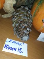 "Ёжик"